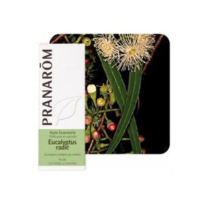 PRANAROM Eukaliptus Radiata 10ml