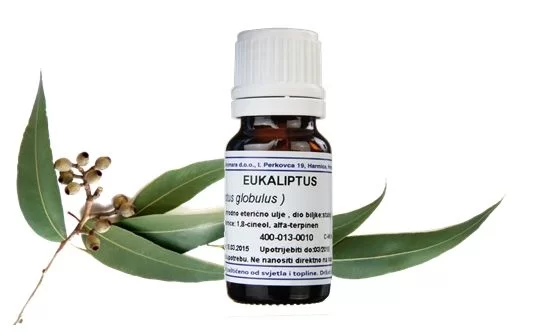 Eukaliptus eterično ulje 10mL - Slika 2
